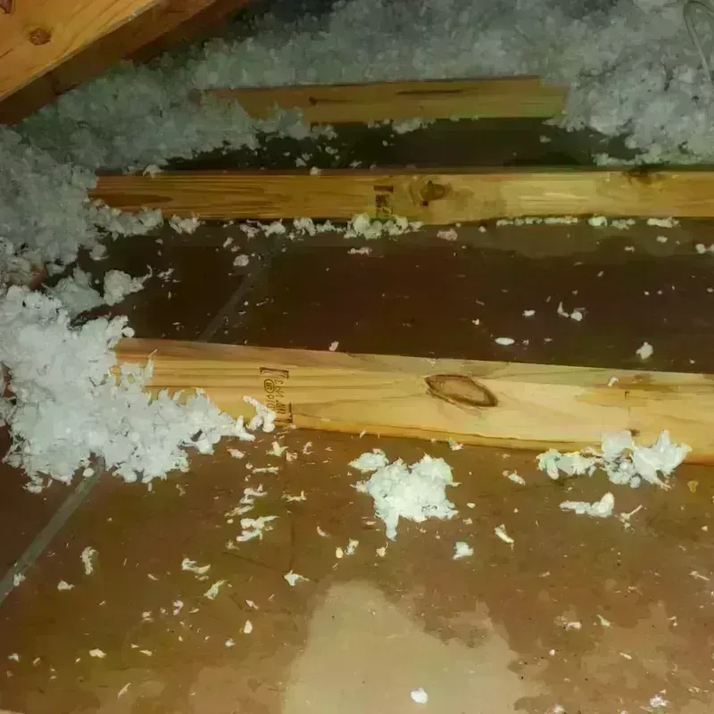 Attic Water Damage in Marion, KS