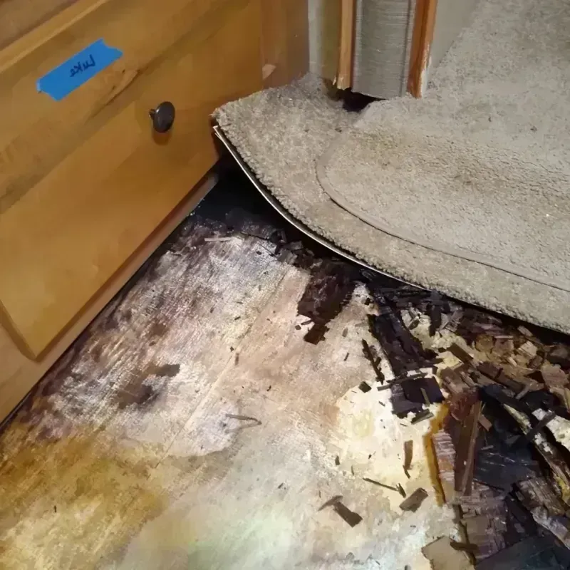 Best Wood Floor Water Damage Service in Marion, KS